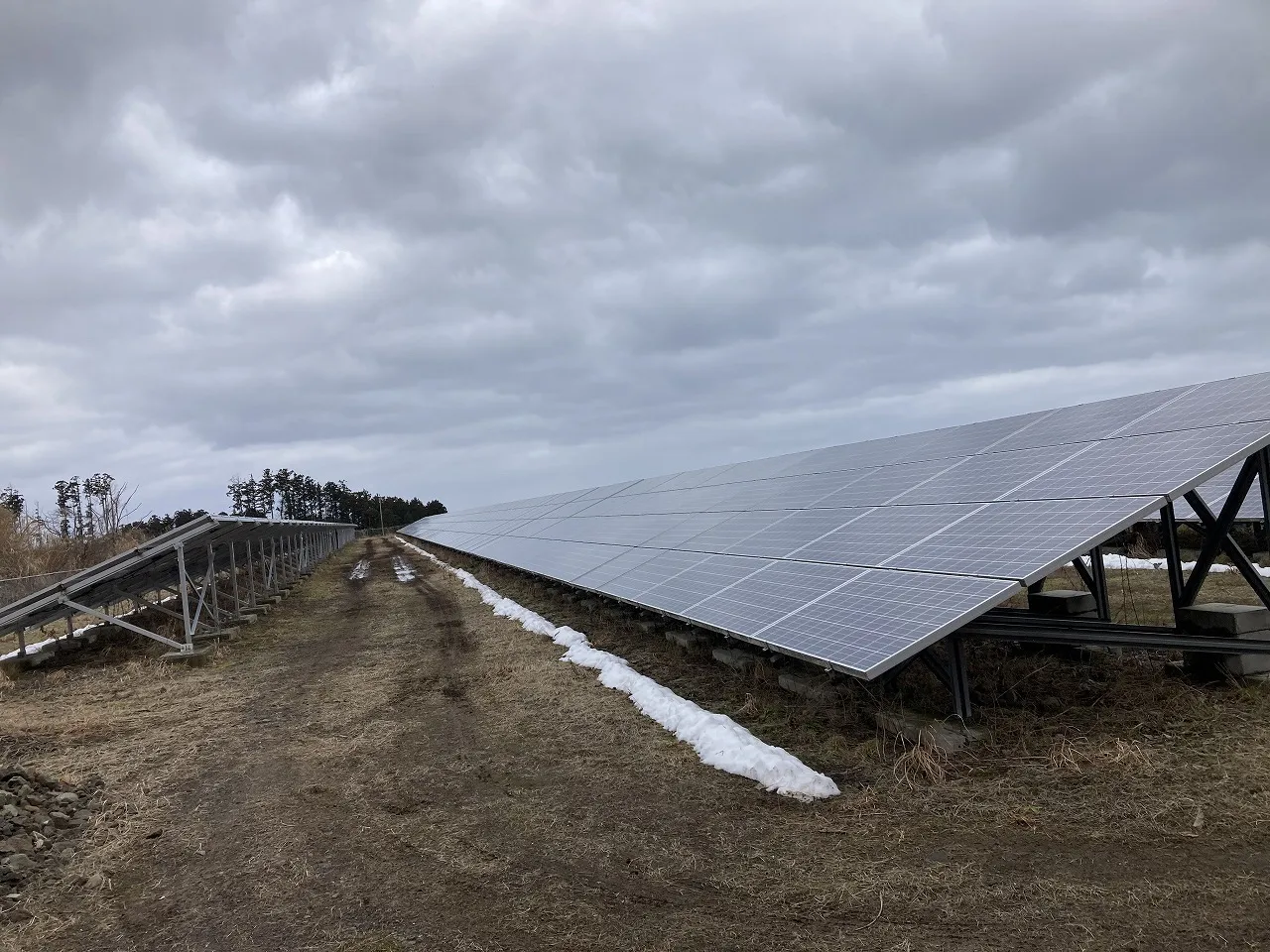 A様(にかほ市金浦)2023年